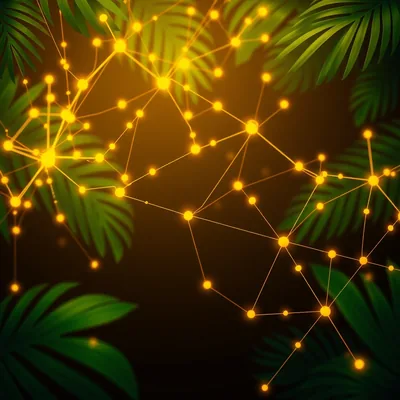 PlayFortuna Casino: Login E Cadastro Grátis